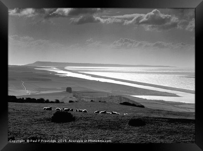 Chesil Beach, Jurassic Coast, Dorset Monochrome  Framed Print by Paul F Prestidge