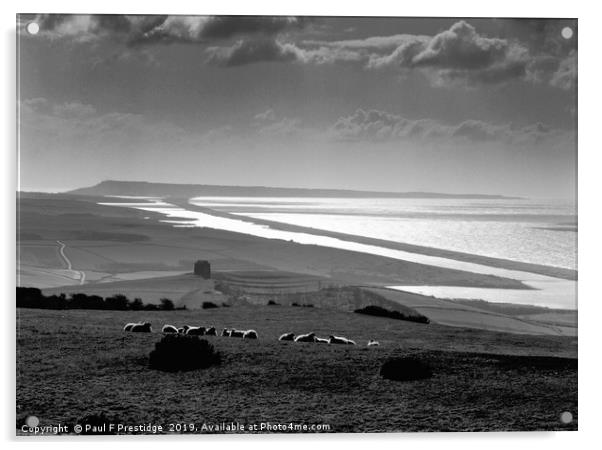 Chesil Beach, Jurassic Coast, Dorset Monochrome  Acrylic by Paul F Prestidge