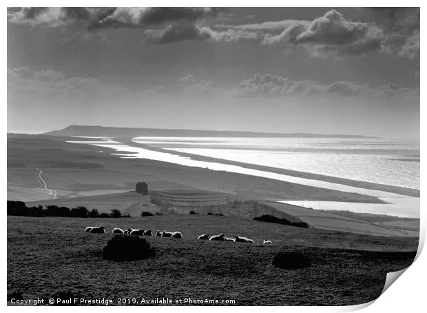 Chesil Beach, Jurassic Coast, Dorset Monochrome  Print by Paul F Prestidge