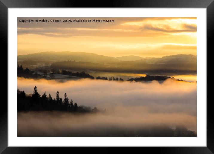 Glowing dawn. Framed Mounted Print by Ashley Cooper