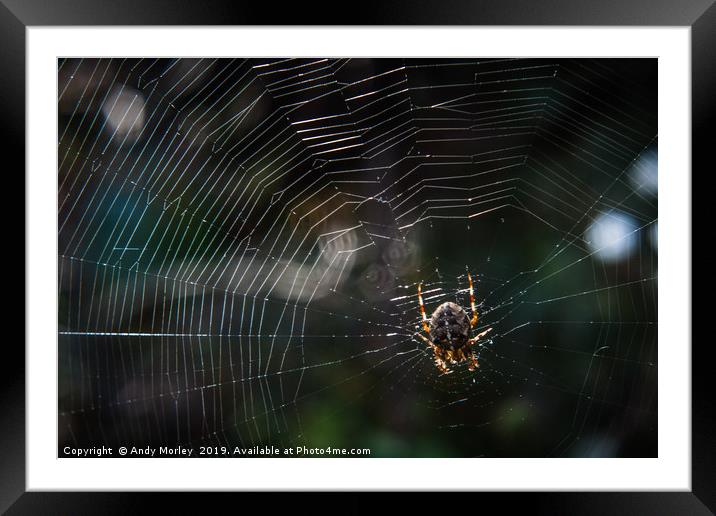 The Spider's Web Framed Mounted Print by Andy Morley