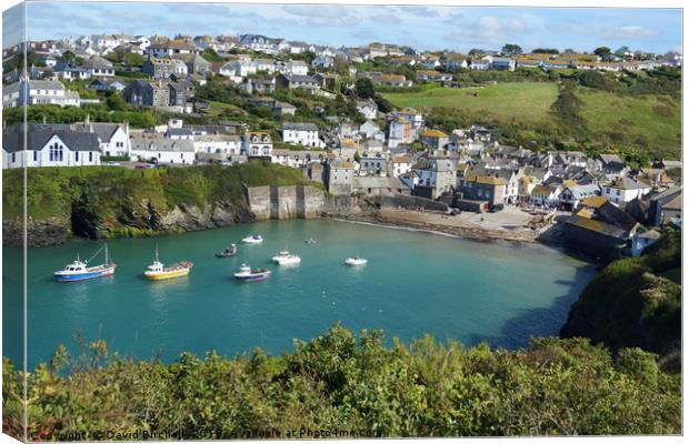 Port Isaac harbour and village, Cornwall. Canvas Print by David Birchall
