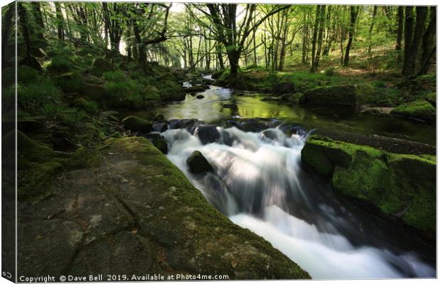 Golitha Falls Canvas Print by Dave Bell