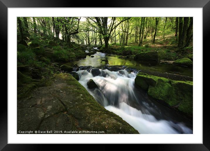 Golitha Falls Framed Mounted Print by Dave Bell