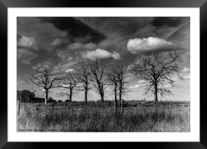 Bare Trees Framed Mounted Print by louise stanley