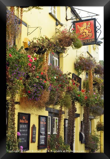 Golden Lion pub, Padstow, Cornwall Framed Print by David Birchall