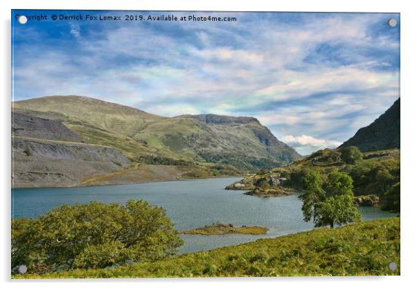 Lynn Peris in snowdonia Acrylic by Derrick Fox Lomax