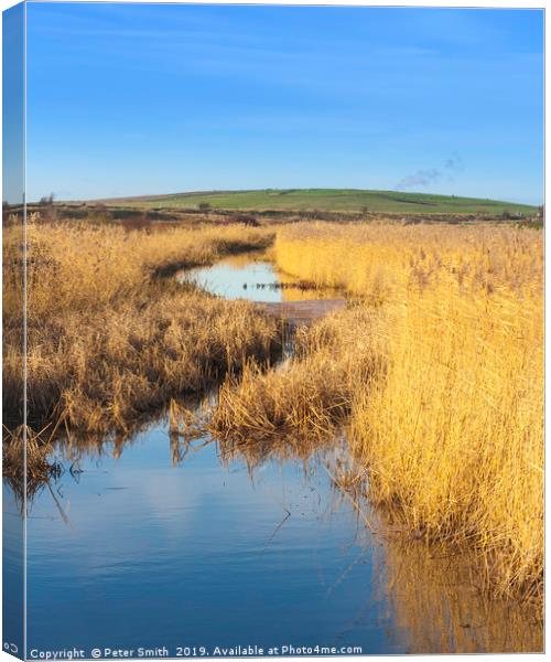 Rainham Marshes Essex UK Canvas Print by Peter Smith