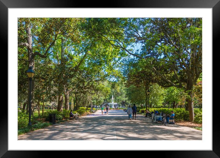 Walkway into Forsyth Park Framed Mounted Print by Darryl Brooks