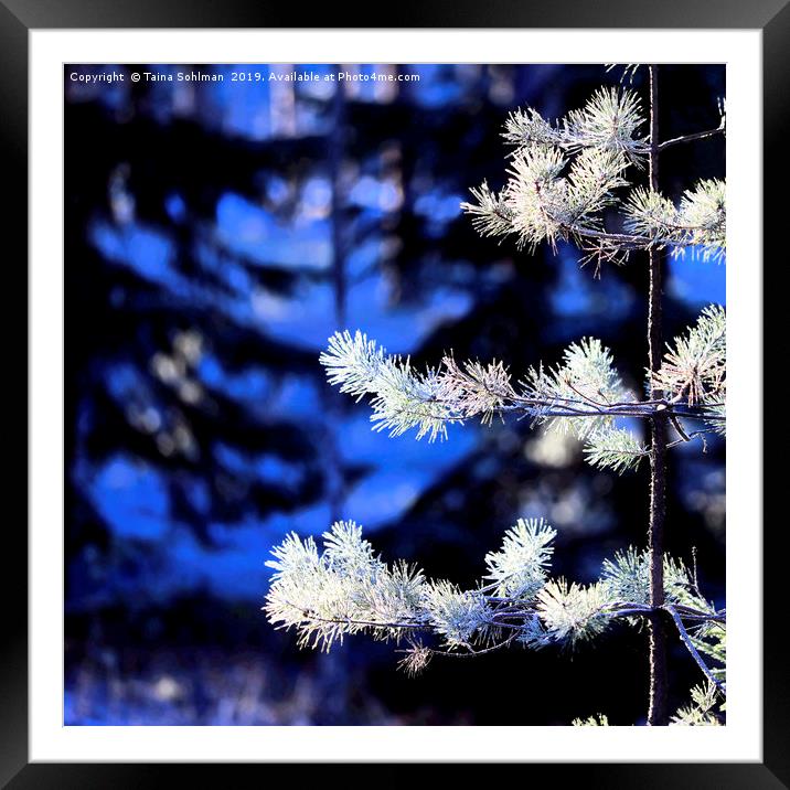 Frost, Light and Shadow Framed Mounted Print by Taina Sohlman