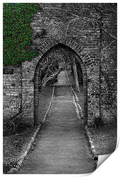 Garden Gate Print by Brian Beckett