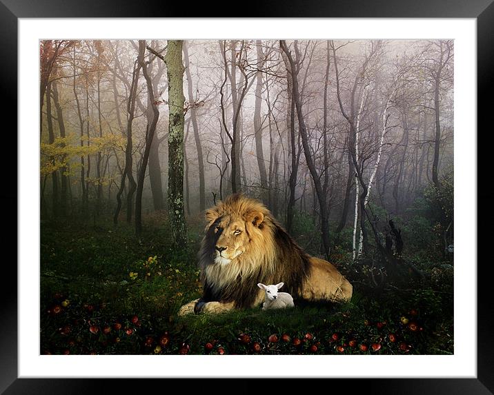 So the Lion Fell in Love with the Lamb Framed Mounted Print by Julie Hoddinott