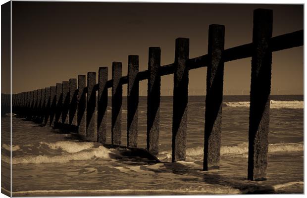 Sea Fence Canvas Print by S Fierros