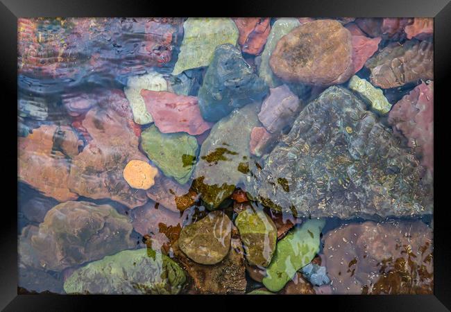 Stones under water Framed Print by Brenda Belcher