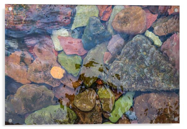 Stones under water Acrylic by Brenda Belcher