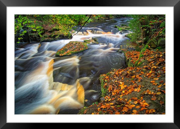  Rivelin Waterfalls in Autumn                      Framed Mounted Print by Darren Galpin
