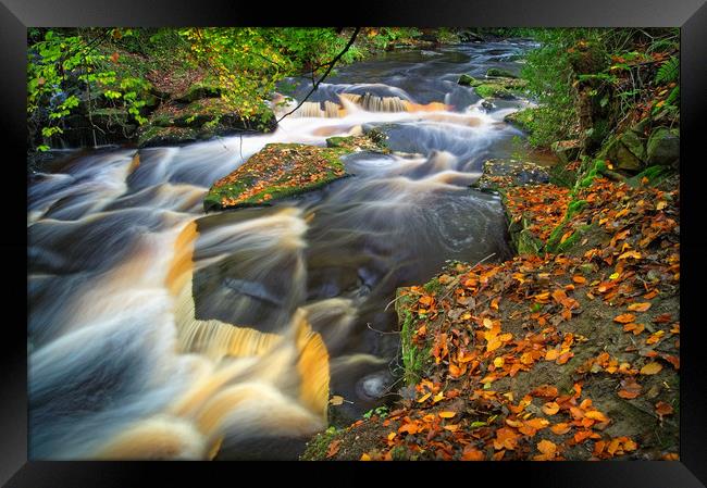  Rivelin Waterfalls in Autumn                      Framed Print by Darren Galpin