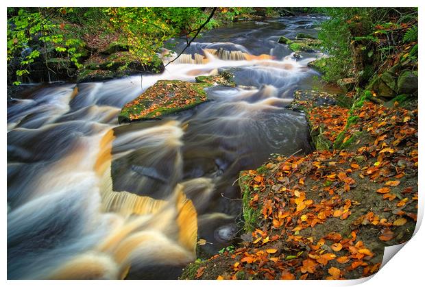  Rivelin Waterfalls in Autumn                      Print by Darren Galpin