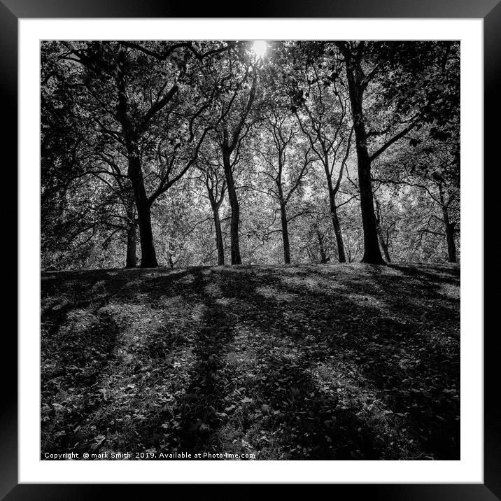 Sunlight Through Trees Framed Mounted Print by mark Smith