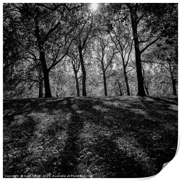 Sunlight Through Trees Print by mark Smith