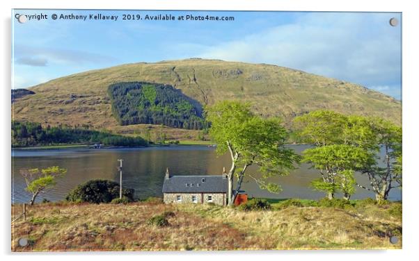            SEAVIEW COTTAGE KINGAIRLOCH             Acrylic by Anthony Kellaway