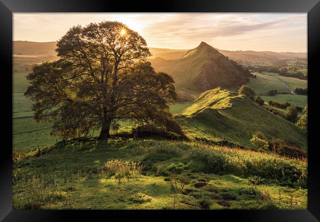 Parkhouse Autumn Tree Sunrise Framed Print by John Finney