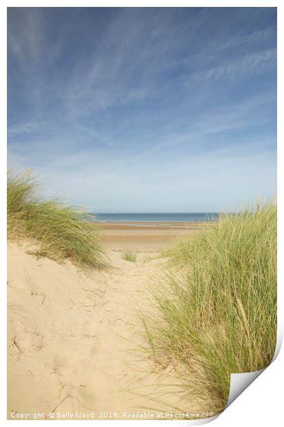 Through the dunes at Holkham beach Print by Sally Lloyd