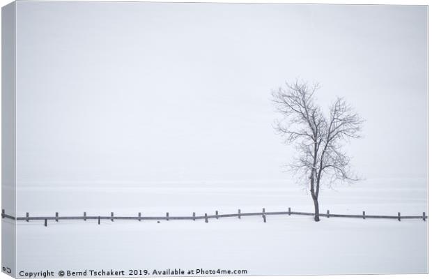 Tree, fence, fog and snow, Austria Canvas Print by Bernd Tschakert