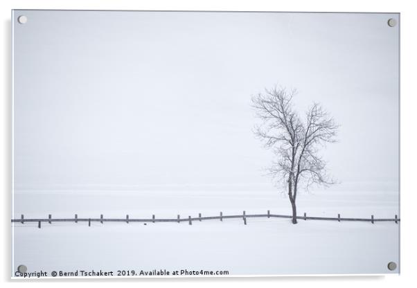 Tree, fence, fog and snow, Austria Acrylic by Bernd Tschakert