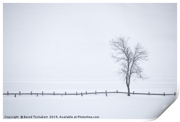 Tree, fence, fog and snow, Austria Print by Bernd Tschakert
