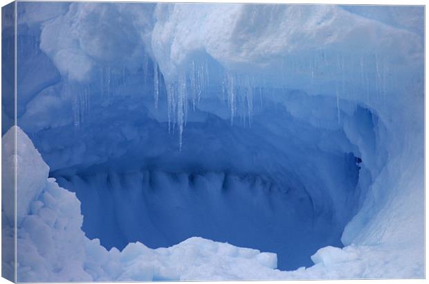 Ice crystals 3 Canvas Print by Ruth Hallam