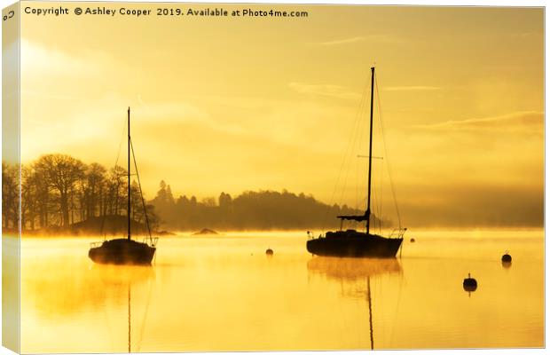Tranquil dawn. Canvas Print by Ashley Cooper