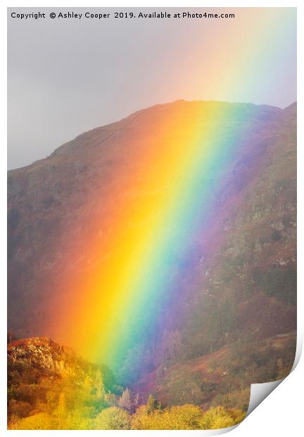 Rainbow. Print by Ashley Cooper