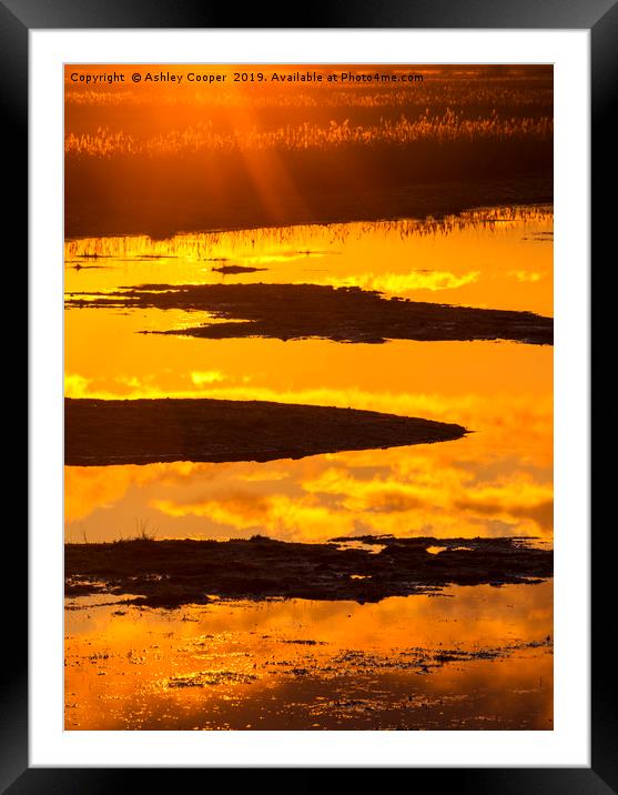 Norfolk sunrise. Framed Mounted Print by Ashley Cooper