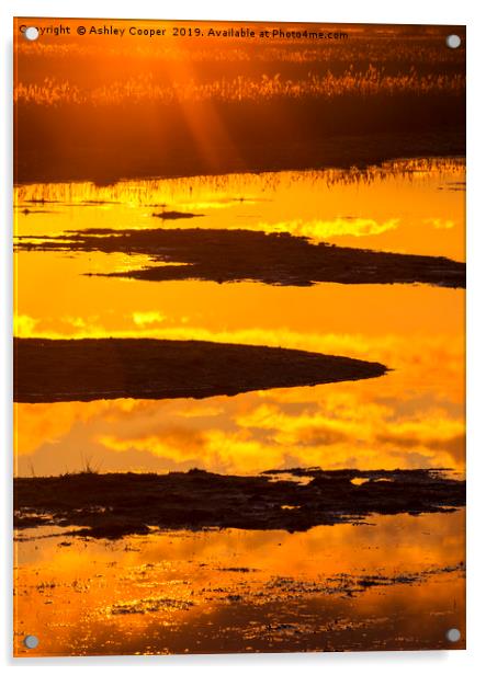 Norfolk sunrise. Acrylic by Ashley Cooper