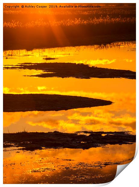 Norfolk sunrise. Print by Ashley Cooper