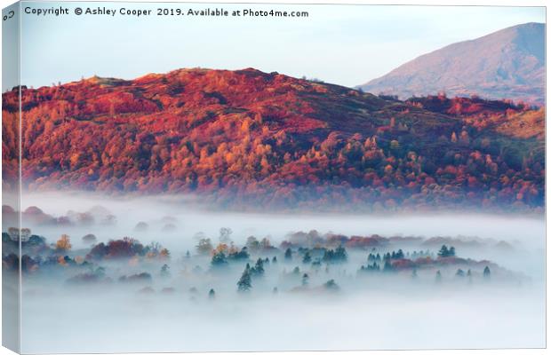 Autumn mists. Canvas Print by Ashley Cooper