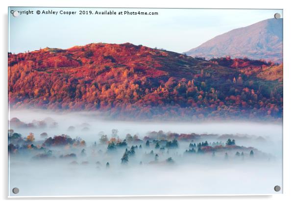 Autumn mists. Acrylic by Ashley Cooper