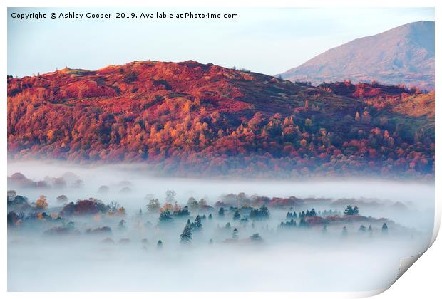 Autumn mists. Print by Ashley Cooper
