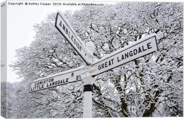 Signpost Canvas Print by Ashley Cooper