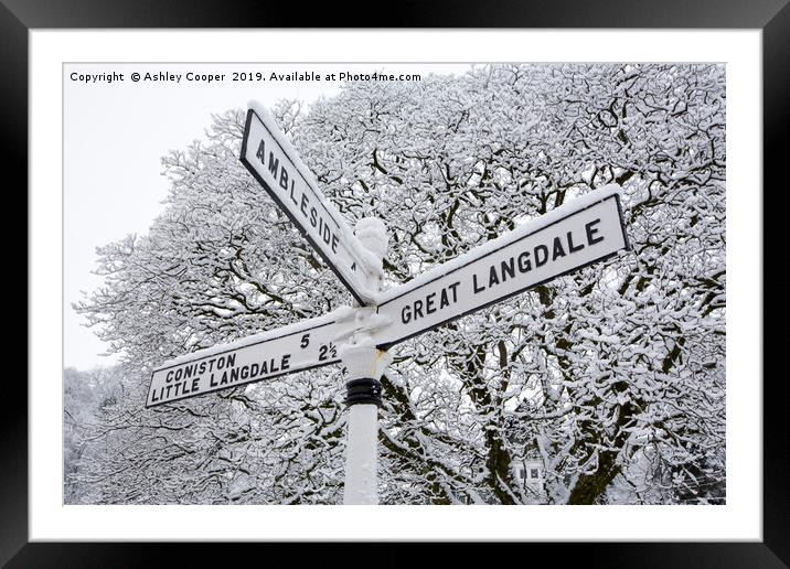 Signpost Framed Mounted Print by Ashley Cooper