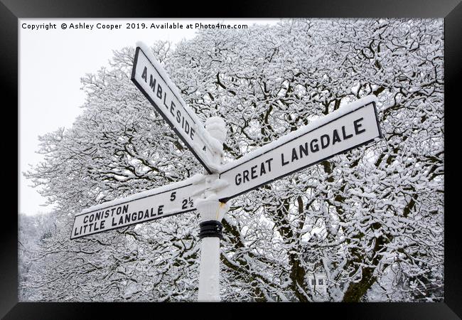 Signpost Framed Print by Ashley Cooper
