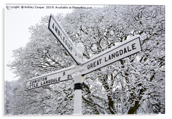 Signpost Acrylic by Ashley Cooper