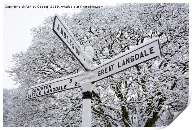 Signpost Print by Ashley Cooper