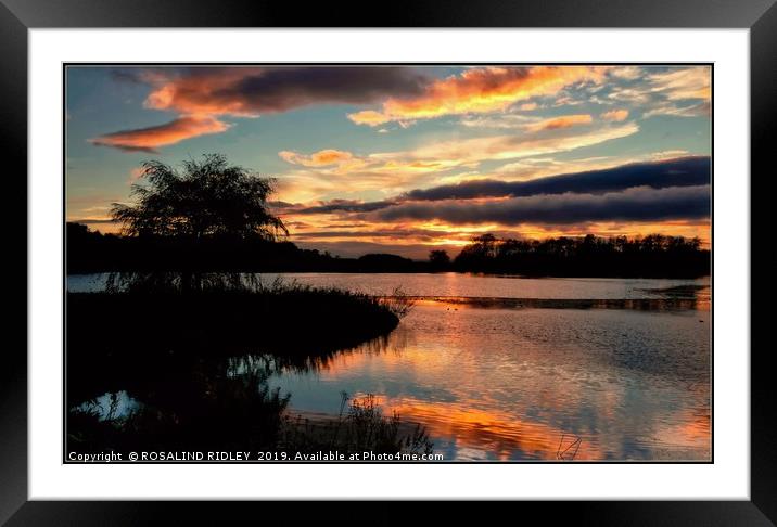 "Autumn sunset across the park lake" Framed Mounted Print by ROS RIDLEY