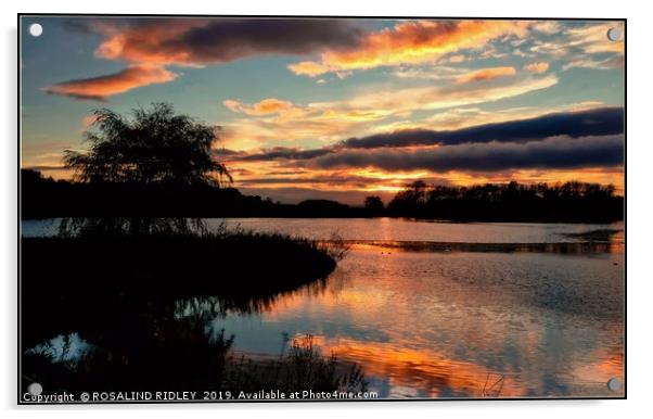 "Autumn sunset across the park lake" Acrylic by ROS RIDLEY