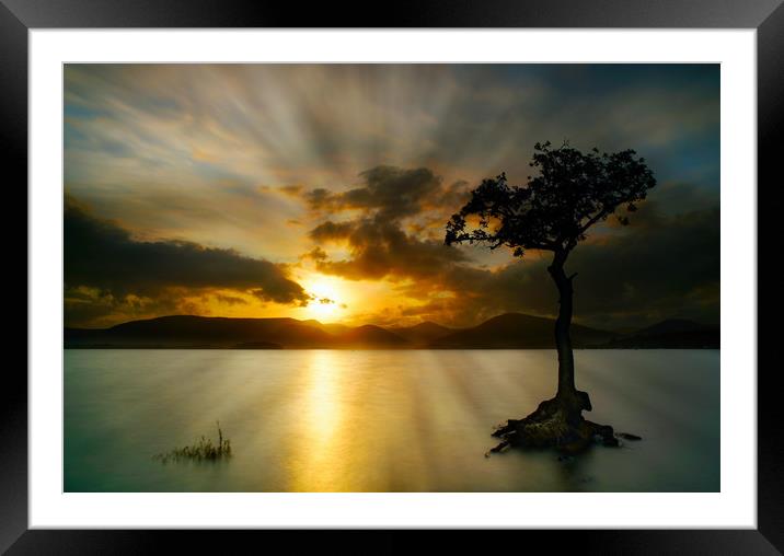 Sunset at Milarrocky tree Loch Lomond Framed Mounted Print by JC studios LRPS ARPS