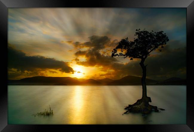 Sunset at Milarrocky tree Loch Lomond Framed Print by JC studios LRPS ARPS