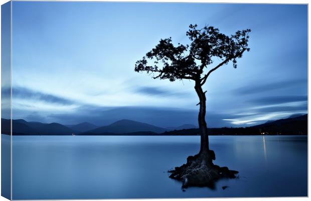 Loch Lomond tree eight minute exposure Canvas Print by JC studios LRPS ARPS