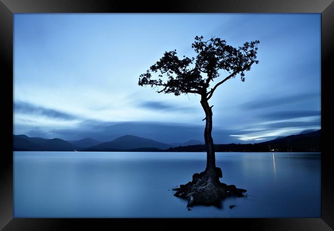 Loch Lomond tree eight minute exposure Framed Print by JC studios LRPS ARPS